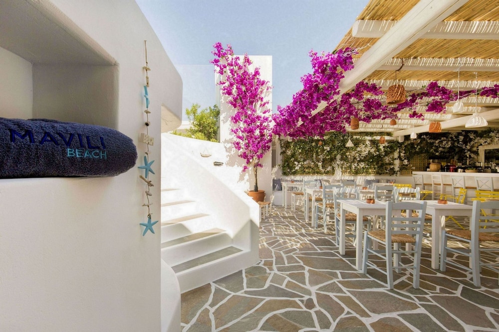 Alexandros Hotel Athens, Vassilicos House of Hospitality — Restaurant & bars in Athens, Attica