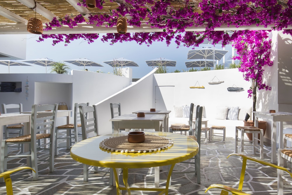Alexandros Hotel Athens, Vassilicos House of Hospitality — Restaurant & bars in Athens, Attica