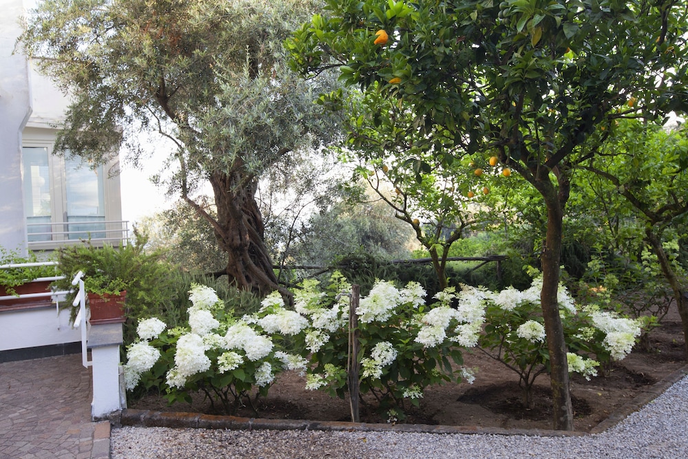 Villa Oriana Relais — Hotel building in Sorrento, Campania