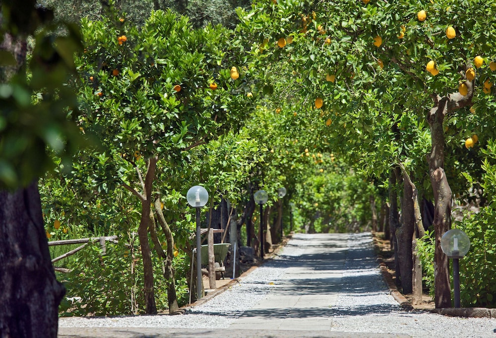Villa Oriana Relais — Attractions in the area in Sorrento, Campania