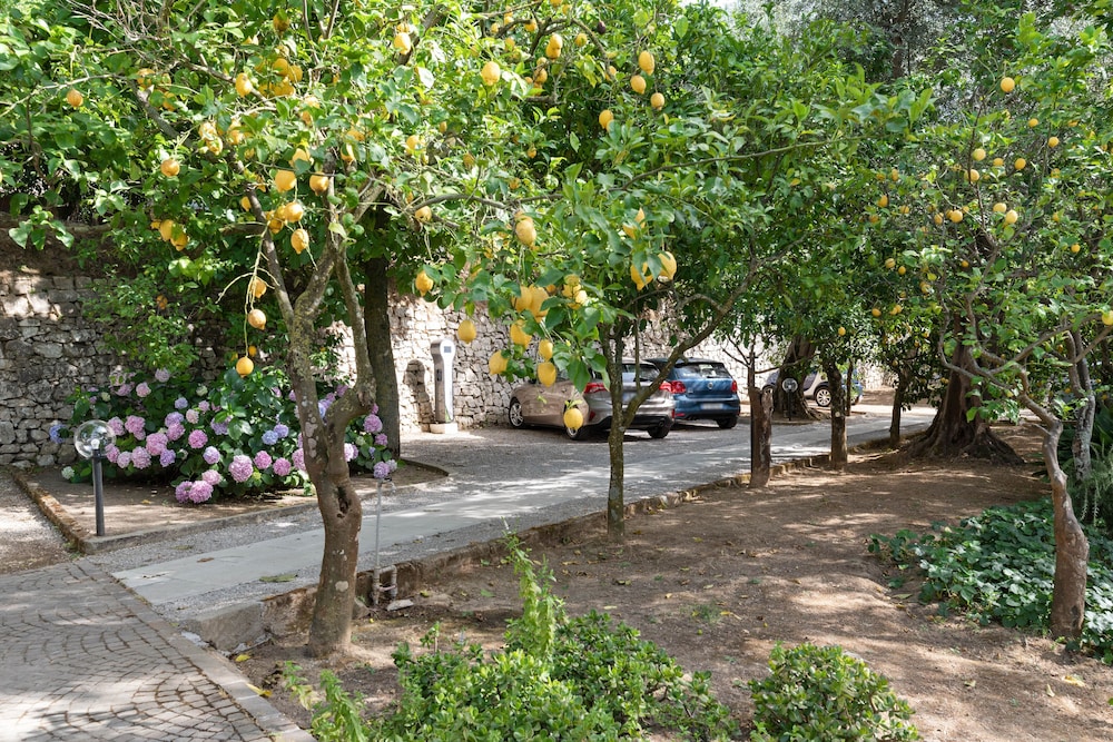 Villa Oriana Relais — Attractions in the area in Sorrento, Campania