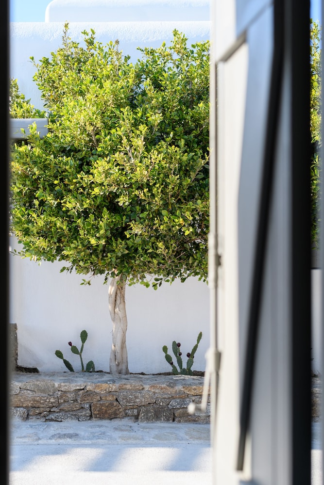 Olive Mykonos Villas — Hotel building in Ano Mera, South Aegean