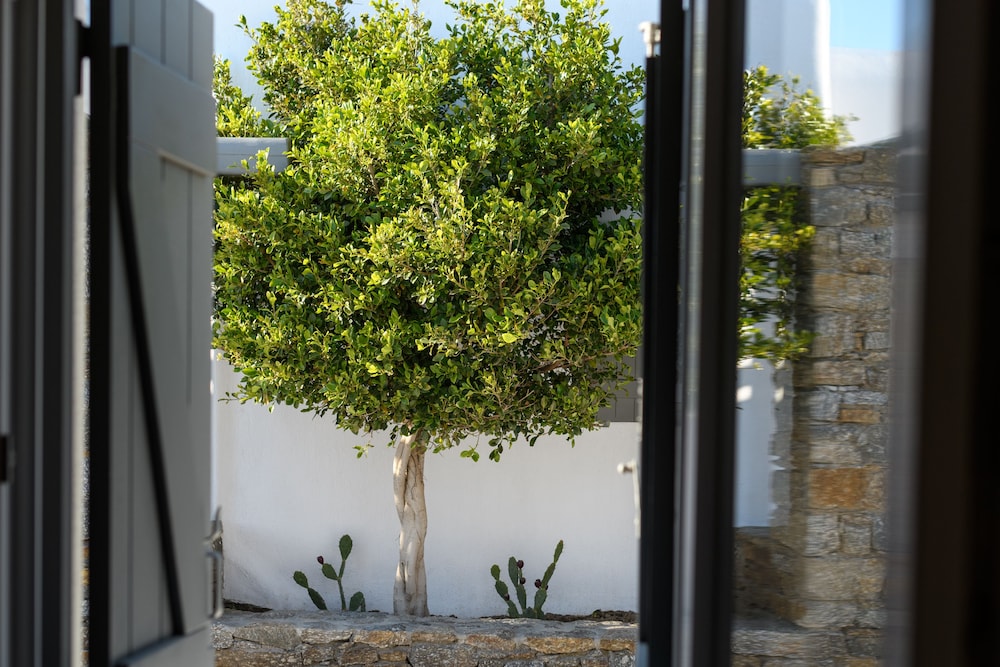 Olive Mykonos Villas — Hotel building in Ano Mera, South Aegean