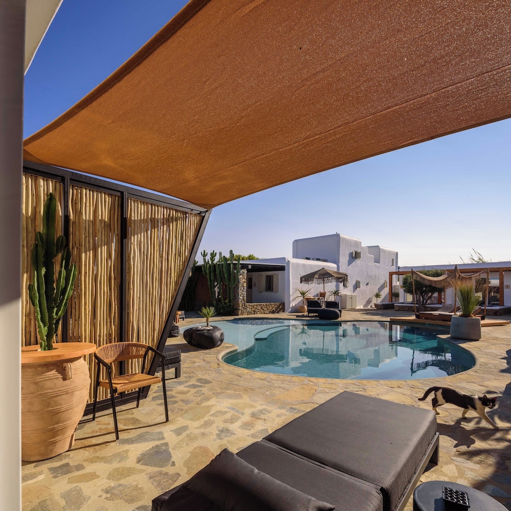Olive Mykonos Villas — Swimming pool in Ano Mera, South Aegean