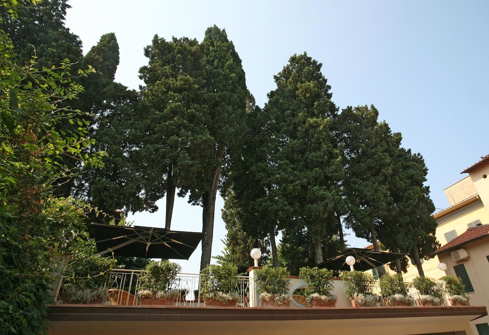 Hotel Bologna — Attractions in the area in Pisa, Tuscany