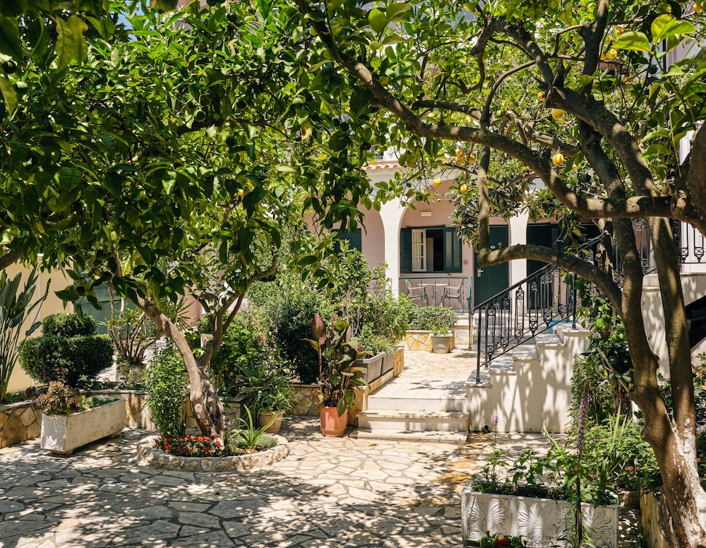 Alamis Hotel & Apartments — Hotel building in Tsilivi, Ionian Islands