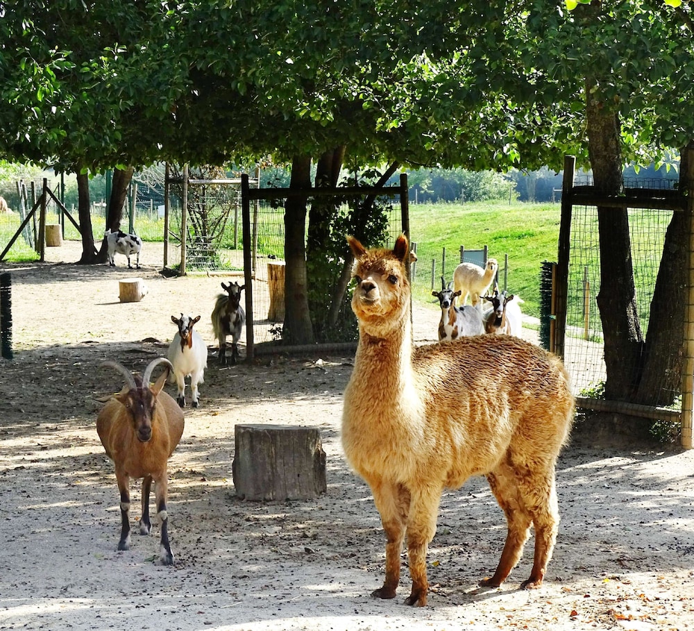 Campanile Val de France near Disneyland Paris — Attractions for children in Disneyland Paris, Ile-de-France