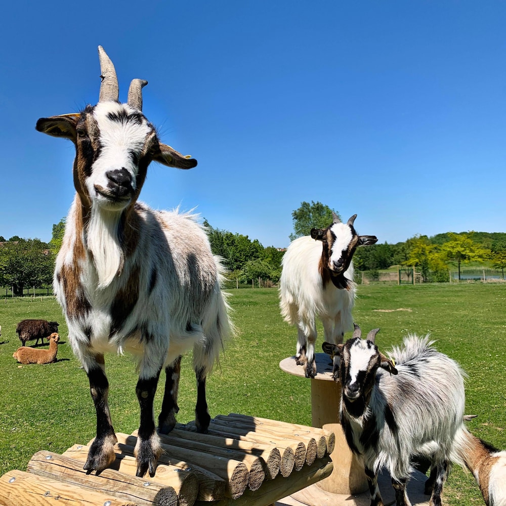 Campanile Val de France near Disneyland Paris — Attractions for children in Disneyland Paris, Ile-de-France