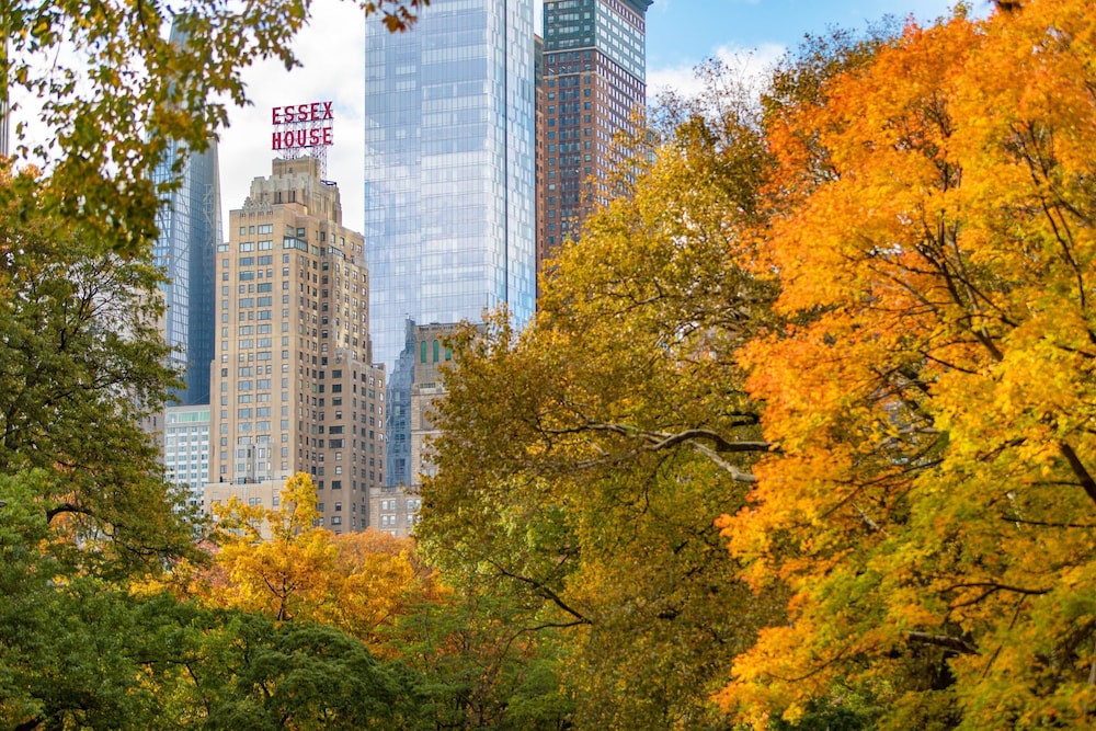 JW Marriott Essex House New York - zdjęcie 5