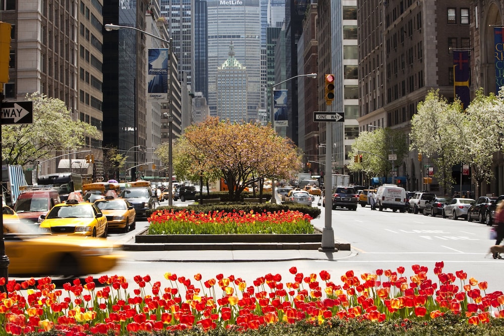 Loews Regency New York Hotel — Attractions in the area in New York City, New York State