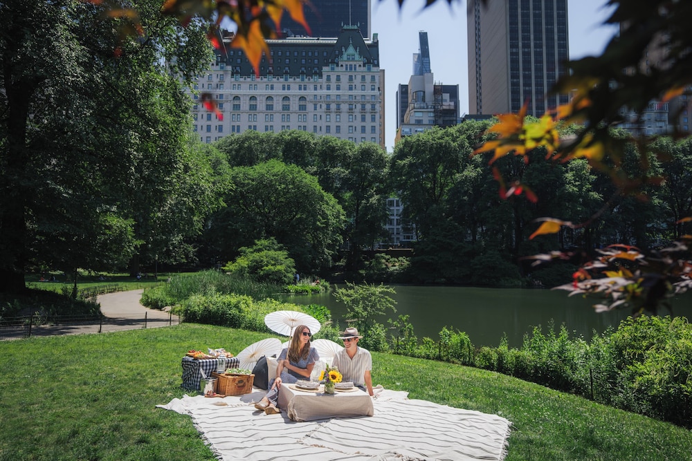 The Plaza, A Fairmont Hotel — Attractions in the area in New York City, New York State