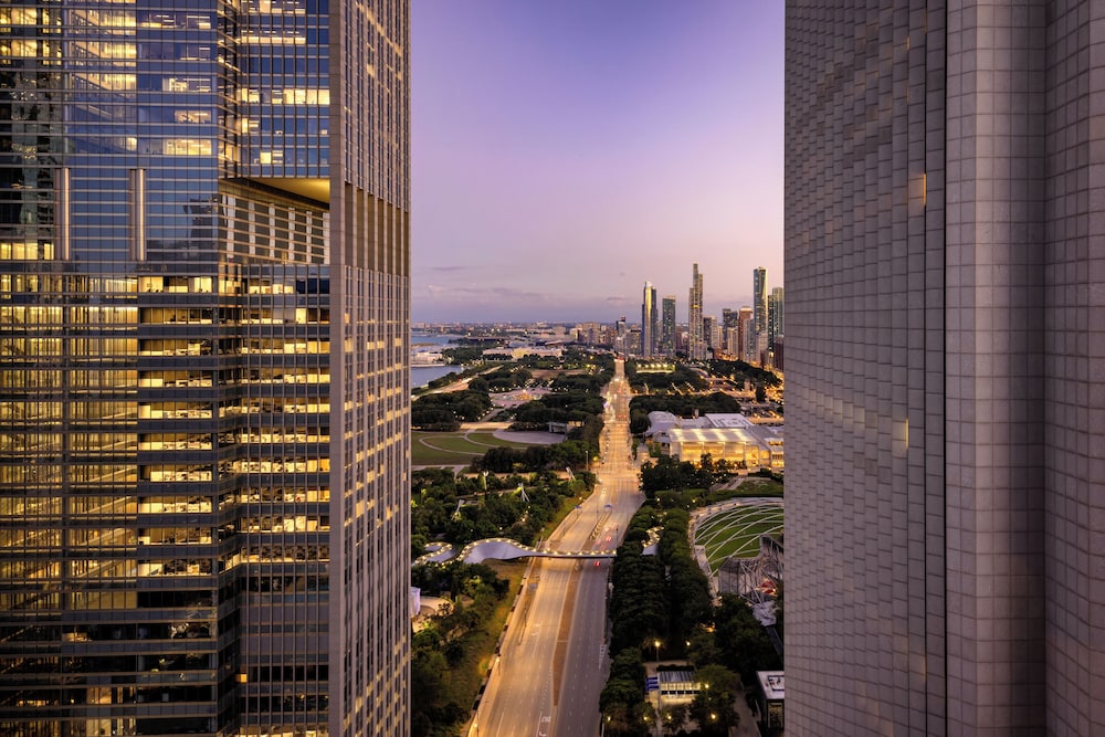 Fairmont Chicago at Millennium Park - zdjęcie 2