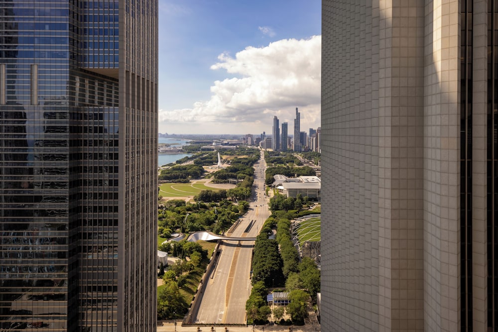 Fairmont Chicago at Millennium Park - zdjęcie 3