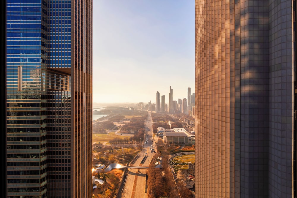 Fairmont Chicago at Millennium Park — Attractions in the area in Chicago, Illinois