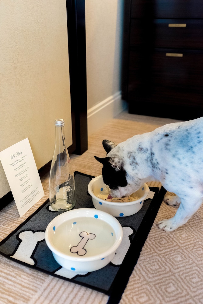 The Peninsula Chicago — Hotel rooms in Chicago, Illinois