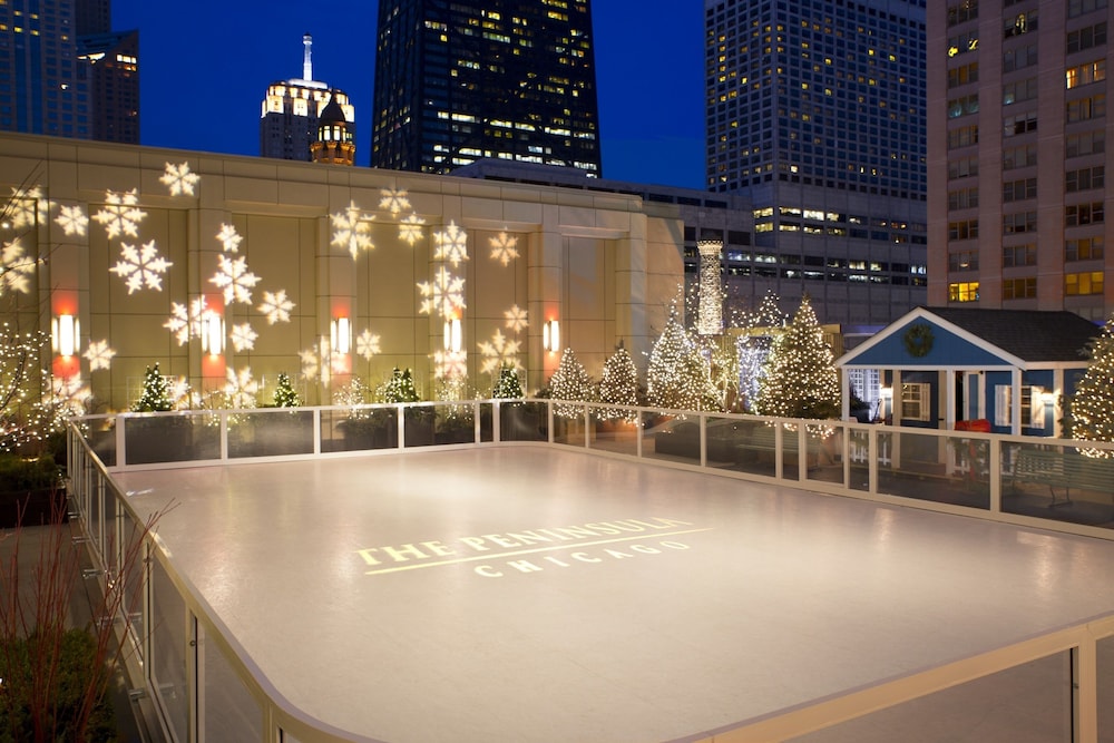 The Peninsula Chicago — Sports & recreation in Chicago, Illinois