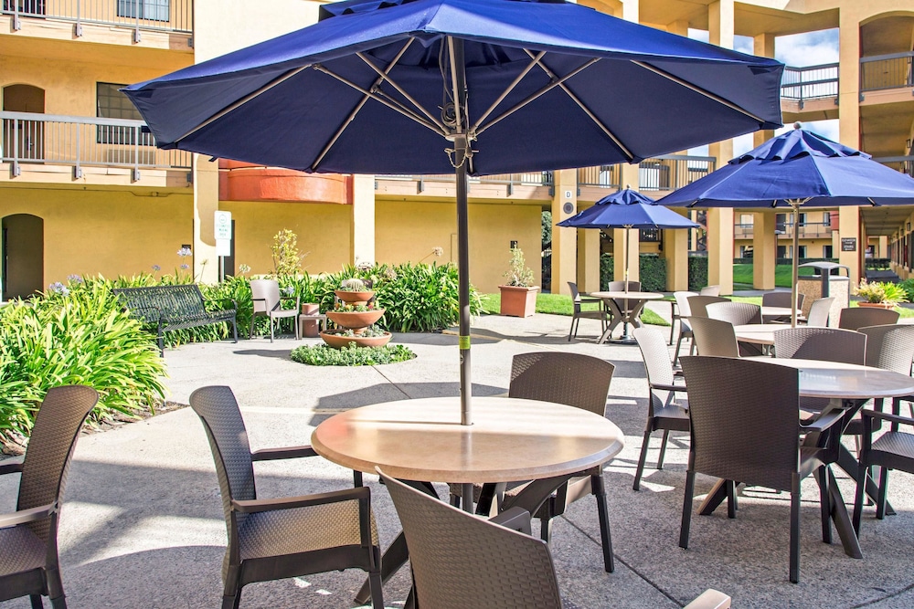 Comfort Inn and Suites San Francisco Airport North — Restaurant & bars in Brisbane, California