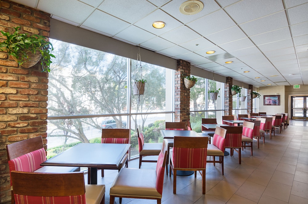 Comfort Inn by the Bay — Restaurant & bars in San Francisco, California