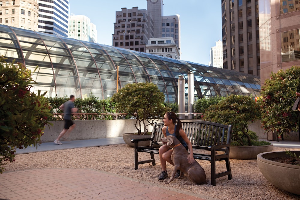Galleria Park Hotel — Attractions in the area in San Francisco, California