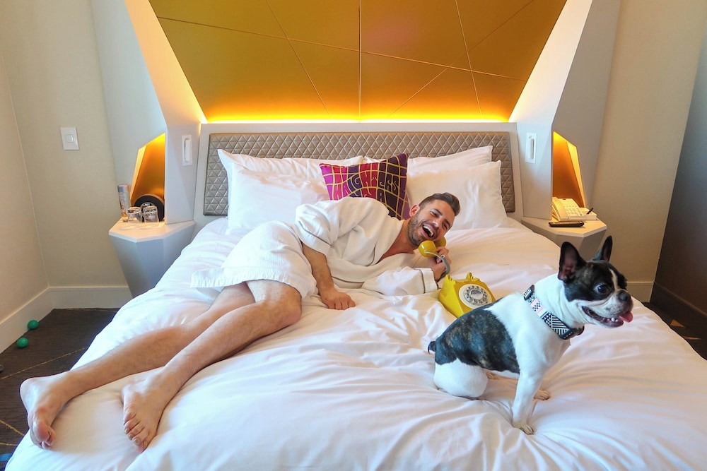 W San Francisco — Hotel rooms in San Francisco, California