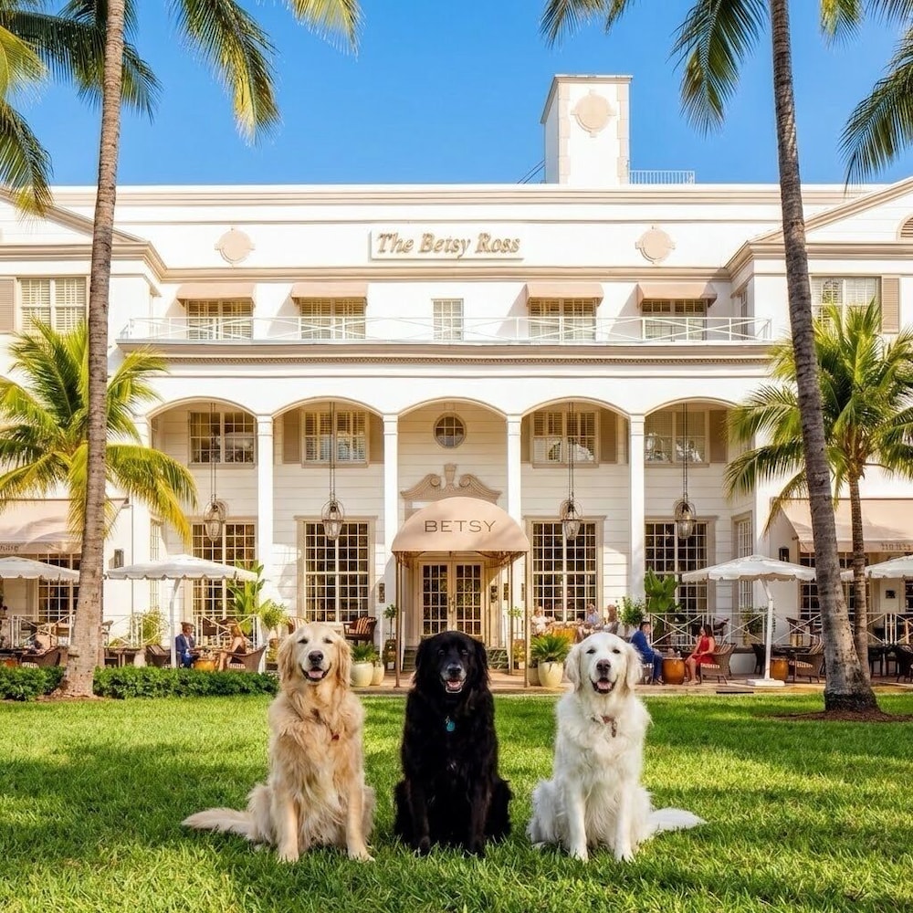 The Betsy - South Beach — Hotel building in Miami, Florida
