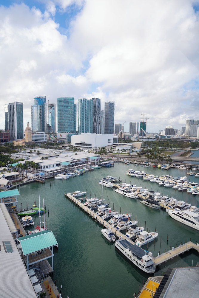 Circa 39 Miami Beach by IHG — Attractions in the area in Miami, Florida