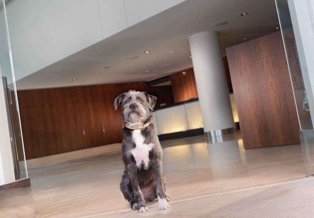 InterContinental San Francisco by IHG — Hotel building in San Francisco, California