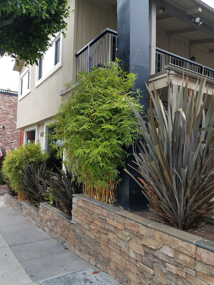 Travelodge by Wyndham San Francisco Bay — Main photo in San Francisco, California