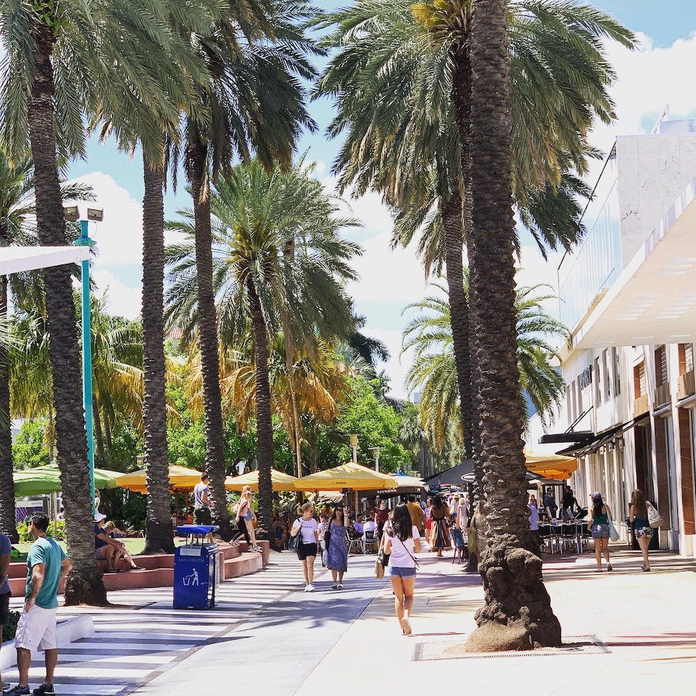 Kimpton Surfcomber Hotel by IHG — Attractions in the area in Miami, Florida