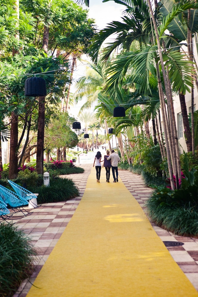 Kimpton Surfcomber Hotel by IHG — Hotel building in Miami, Florida