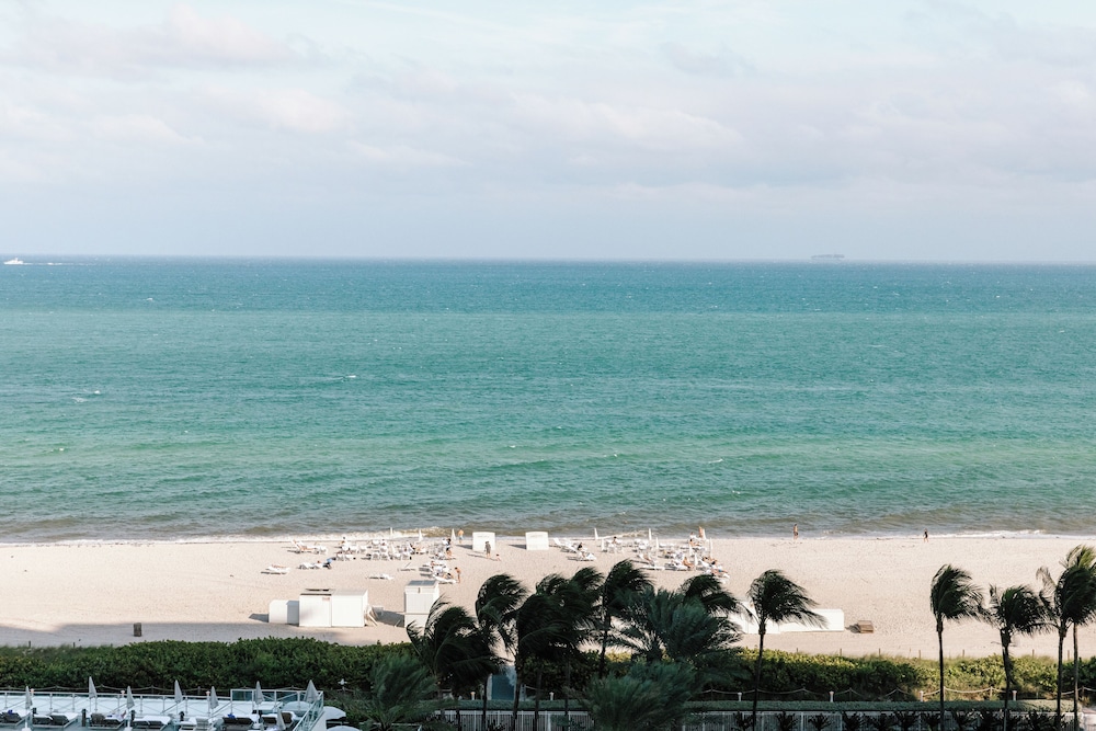 Eden Roc Miami Beach — Beach in Miami, Florida