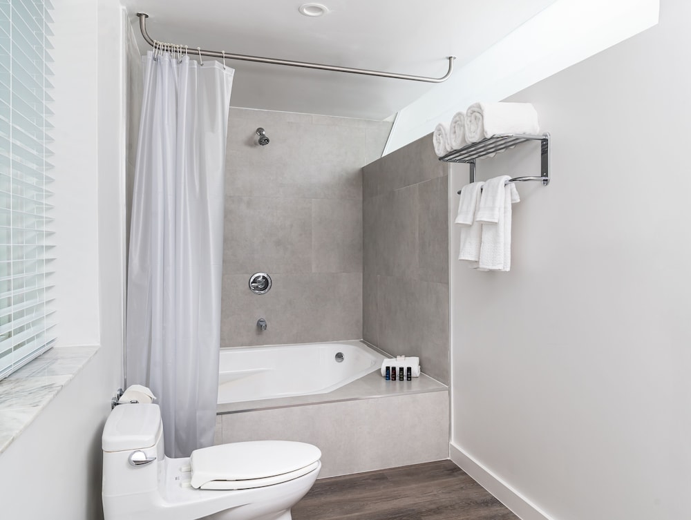Essex House By Clevelander — Hotel rooms in Miami, Florida