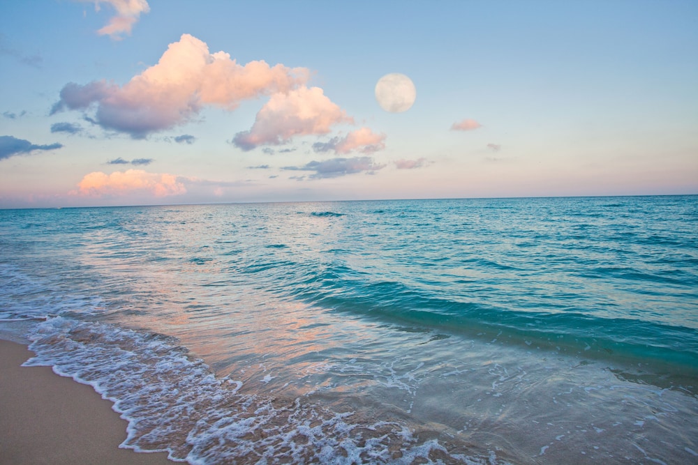 Holiday Inn Miami Beach - Oceanfront by IHG — Beach in Miami, Florida