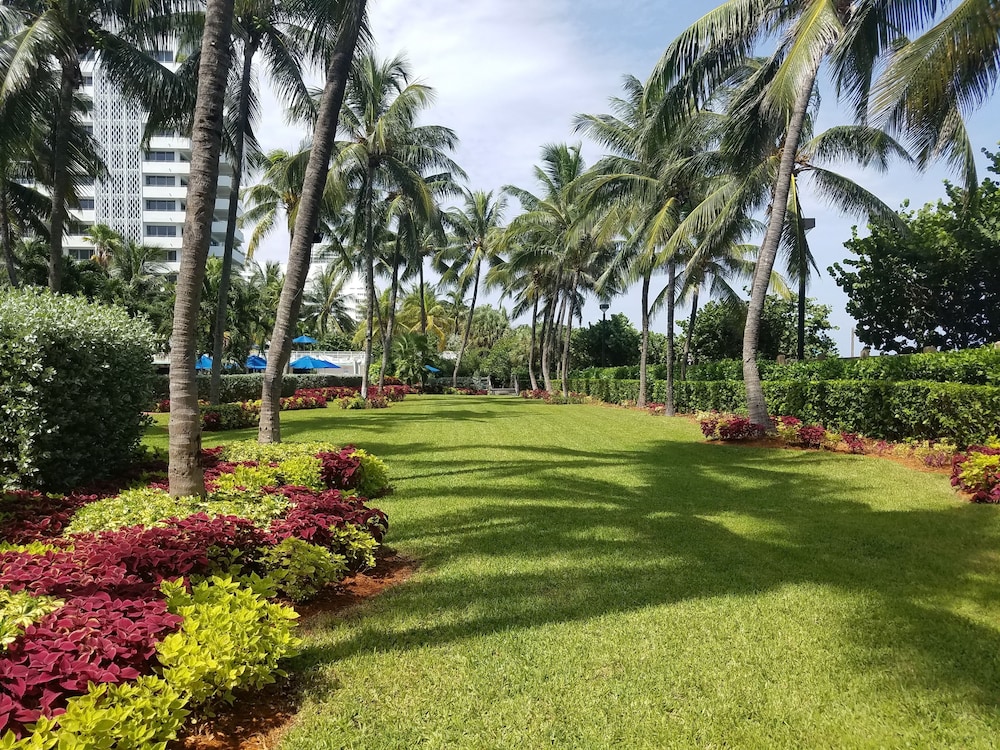 Holiday Inn Miami Beach - Oceanfront by IHG — Hotel building in Miami, Florida