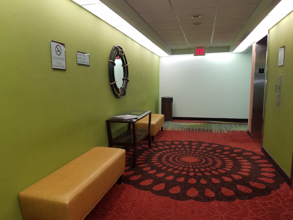 Holiday Inn Miami Beach - Oceanfront by IHG — Hotel building in Miami, Florida