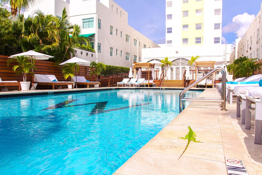 Marseilles Beachfront Hotel - zdjęcie 3