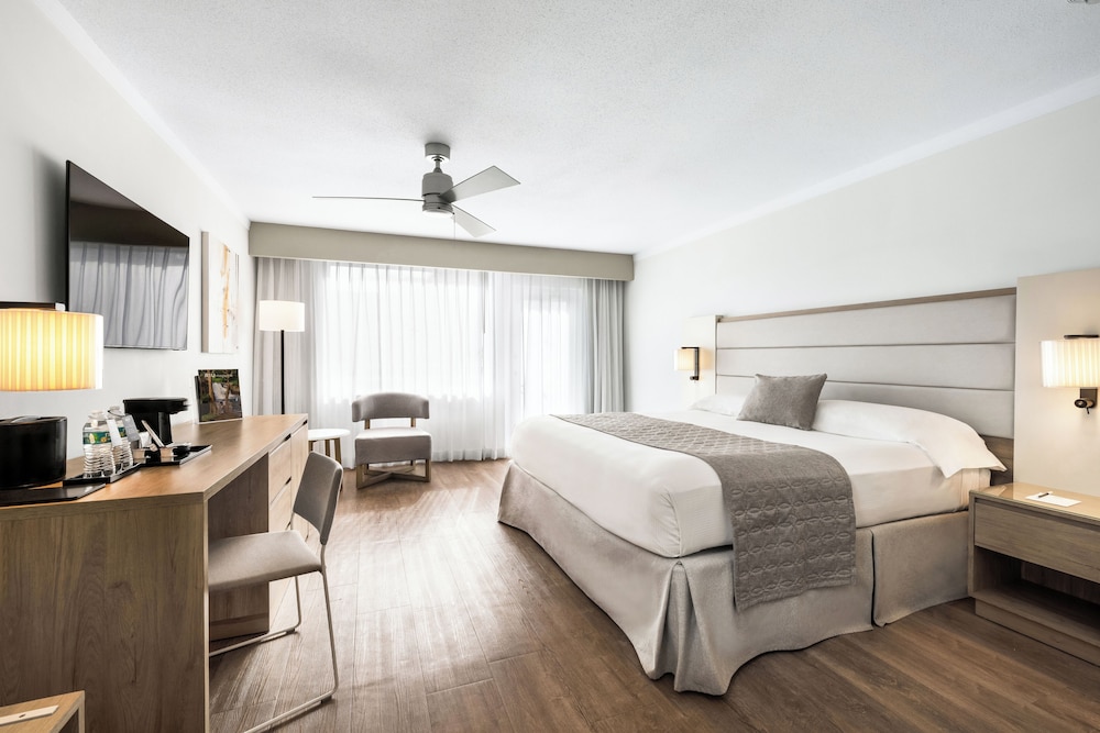 Hotel Riu Plaza Miami Beach — Hotel rooms in Miami, Florida