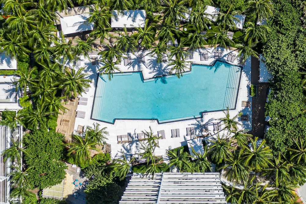 W South Beach — Swimming pool in Miami, Florida