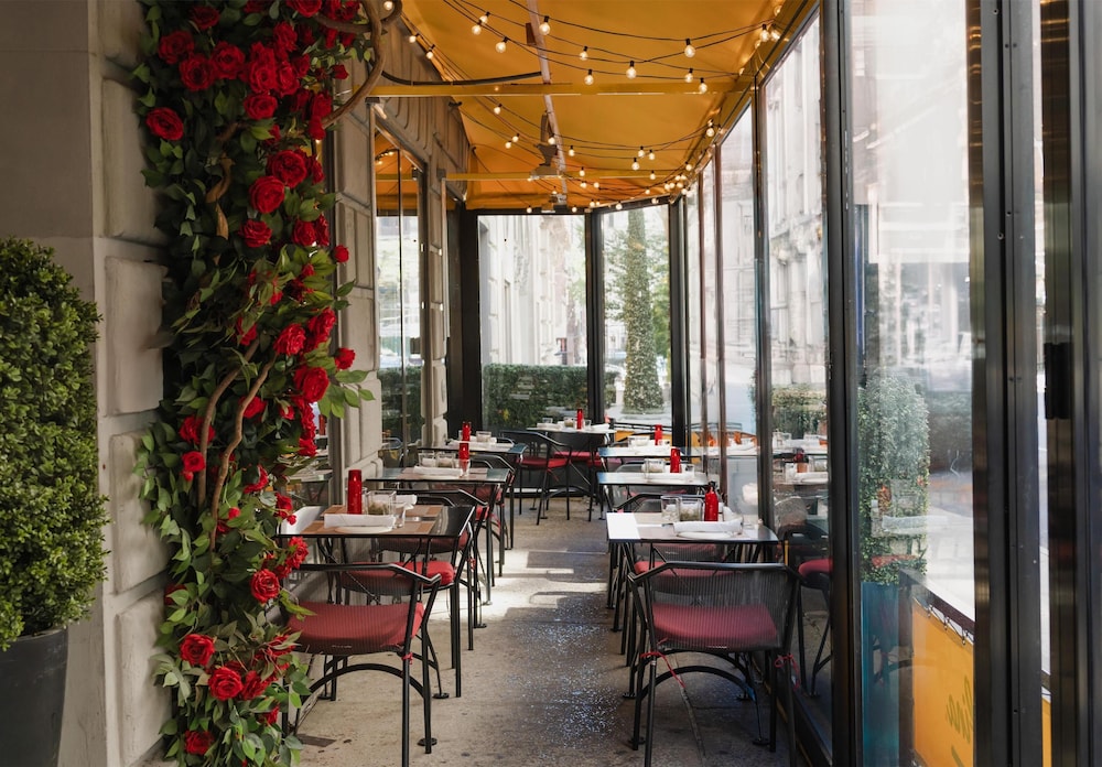 NH Collection New York Madison Avenue — Restaurant & bars in New York City, New York State