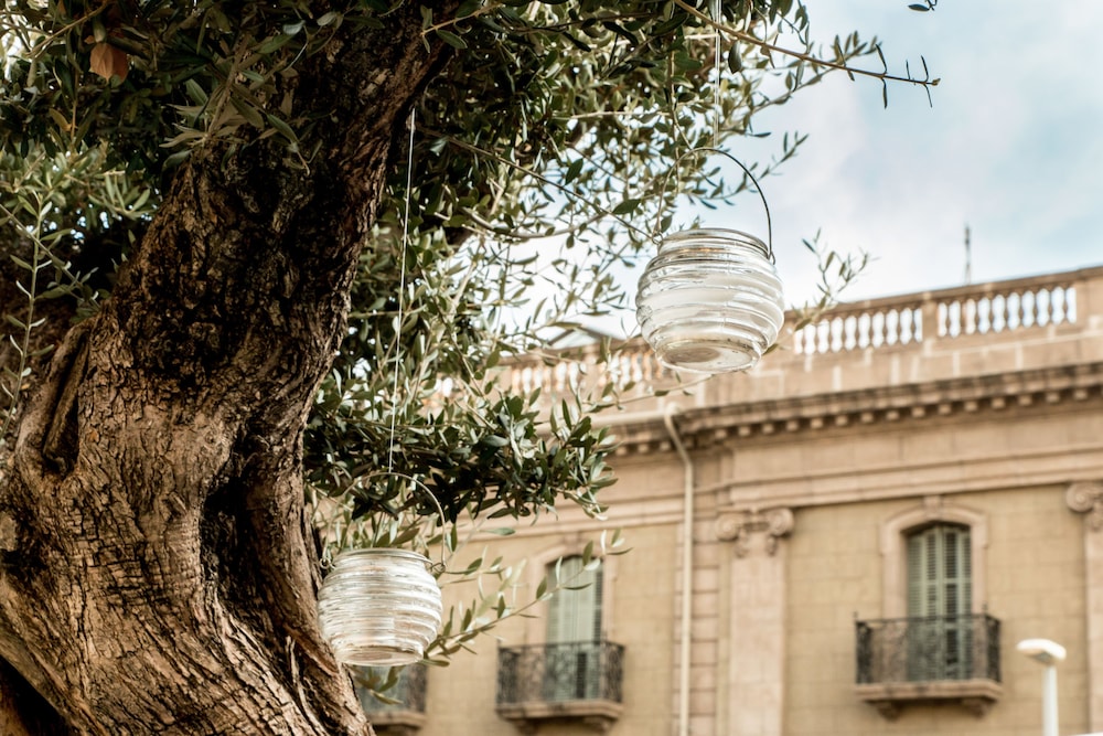 Hotel Oasis — Attractions in the area in Barcelona, Catalonia