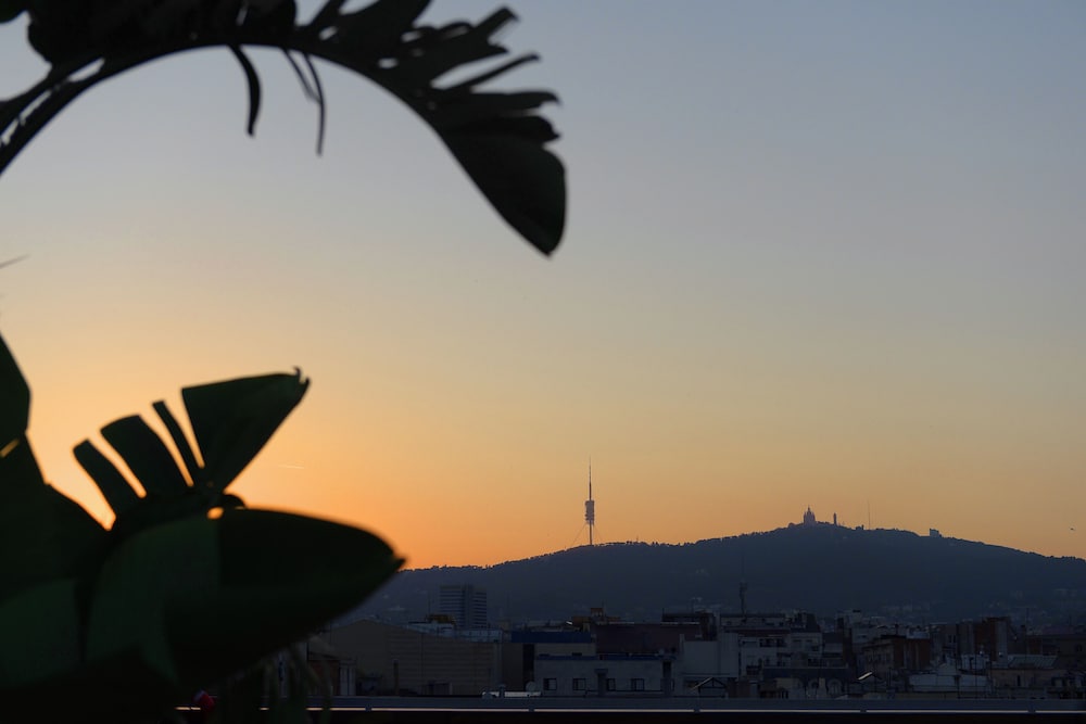 Soho Hotel — Attractions in the area in Barcelona, Catalonia