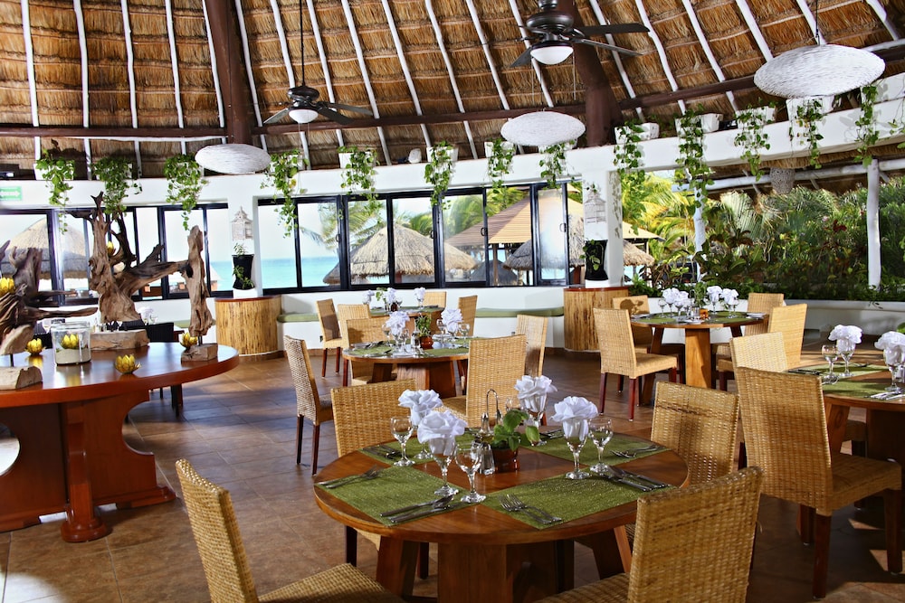 Select Club at Sandos Caracol All Inclusive - Adults Only Area — Restaurant & bars in Playa del Carmen, Quintana Roo