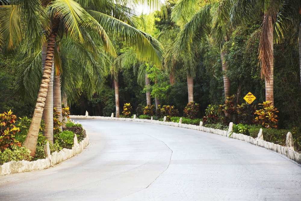 Select Club at Sandos Caracol All Inclusive - Adults Only Area — Attractions in the area in Playa del Carmen, Quintana Roo
