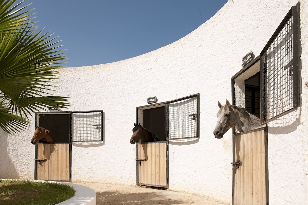 SENTIDIO Phenicia — On-site activities in Hammamet, Nabeul