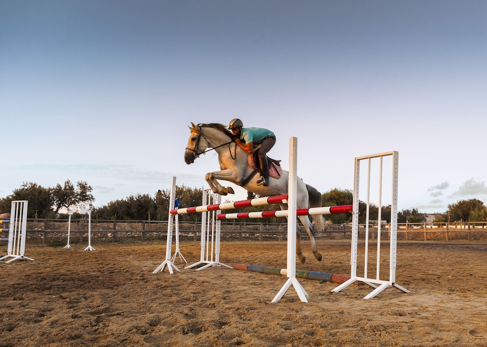 SENTIDIO Phenicia — On-site activities in Hammamet, Nabeul