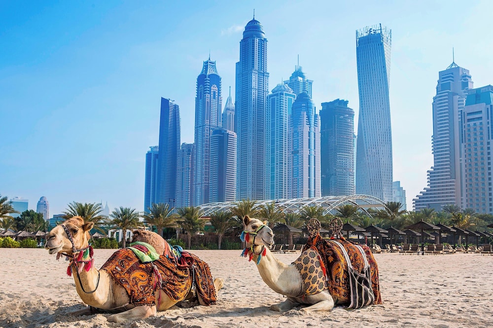 Al Habtoor Grand Resort, Autograph Collection® — Attractions in the area in Dubai