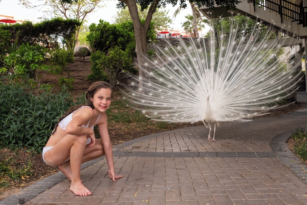 JA Beach Hotel, Dubai — Attractions for children in Dubai