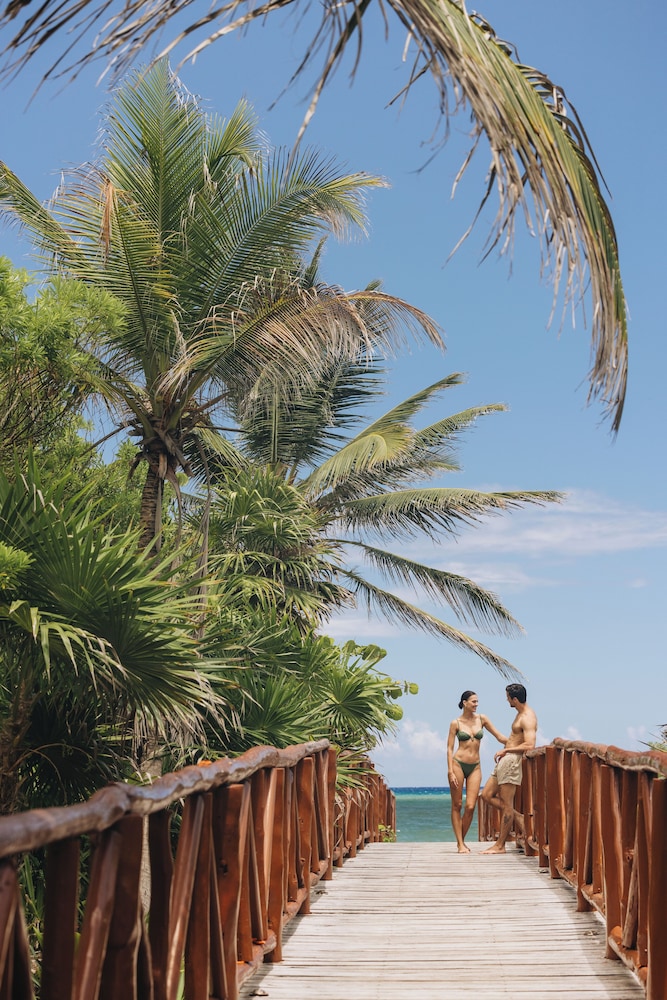 Unico Hotel Riviera Maya - Adults Only — Beach in Xetna, Quintana Roo
