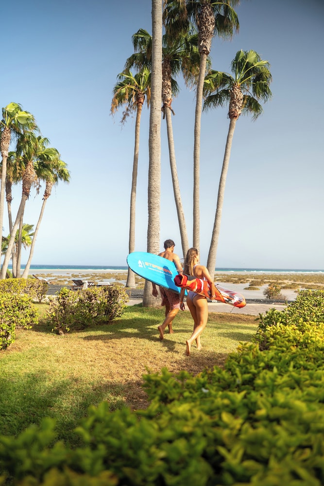 Zel Fuerteventura - Adults Only — Beach in Costa Calma, Canary Islands