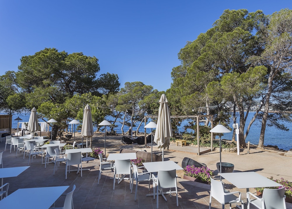 Catalonia Royal Ses Estaques - Adults Only — Restaurant & bars in Santa Eulalia, Balearic Islands